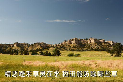 稻田稗草用什么農(nóng)藥,蝦稻田打什么農(nóng)藥