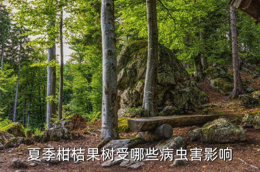 柑橘用什么農(nóng)藥防治果蠅,防治果蠅最好的農(nóng)藥