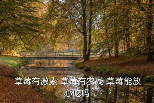  草莓有激素 草莓有農殘 草莓能放心吃嗎