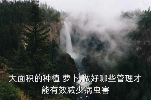 蘿卜一般打什么農藥,白菜蘿卜用什么農藥