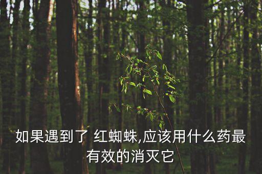 如果遇到了 紅蜘蛛,應該用什么藥最有效的消滅它