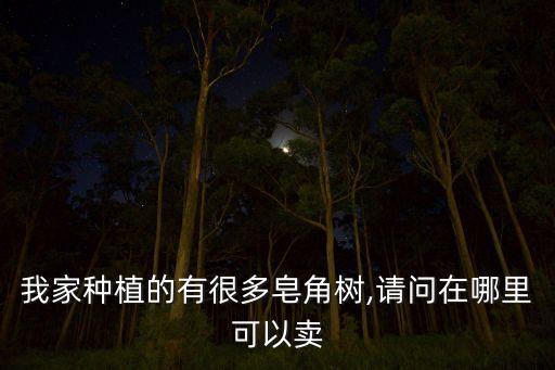 巨型皂角樹用什么農(nóng)藥