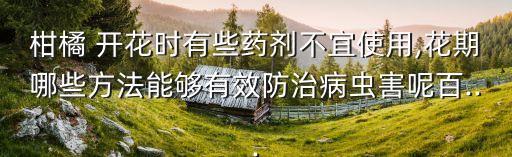 柑橘 開(kāi)花時(shí)有些藥劑不宜使用,花期哪些方法能夠有效防治病蟲(chóng)害呢百...