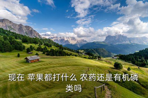 蘋果要打些什么農(nóng)藥,蘋果什么模式可以打不進電話