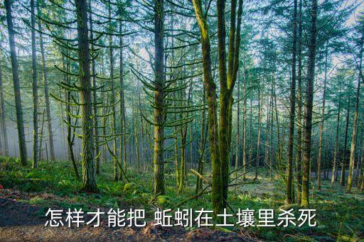 怎樣才能把 蚯蚓在土壤里殺死