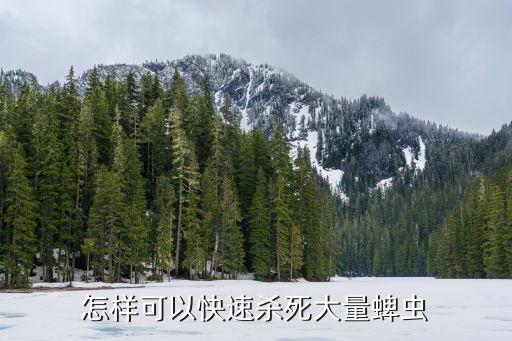 打什么農藥治蜱蟲,3911農藥主要治什么
