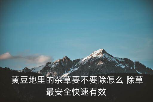 黃豆打什么除草農藥最好,苗圃除草用什么農藥