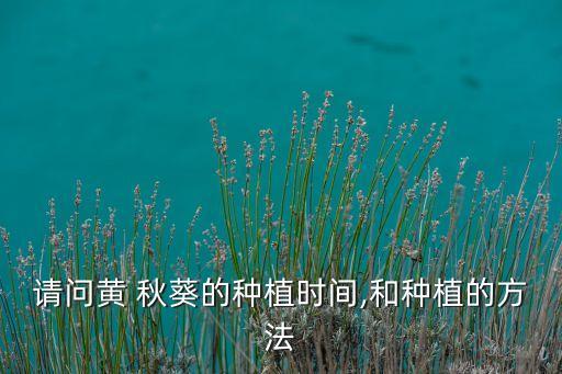 請問黃 秋葵的種植時間,和種植的方法