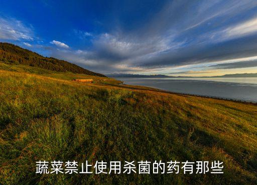 蔬菜低毒農(nóng)藥有什么,防治蔬菜蚜蟲低毒農(nóng)藥