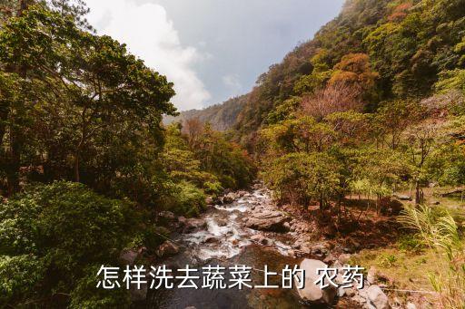 農藥用什么洗干凈,菜農藥沒洗干凈