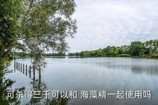 可殺得三千可以和 海藻精一起使用嗎