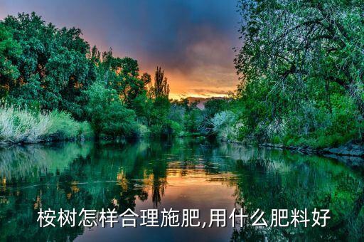  桉樹怎樣合理施肥,用什么肥料好