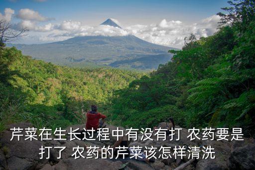 ,香芹種植用什么牌子農藥