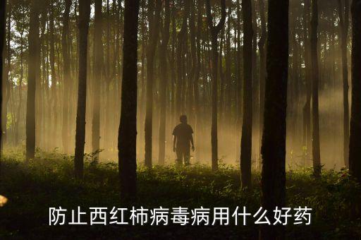 普通番茄用什么農(nóng)藥殺菌,番茄打什么農(nóng)藥