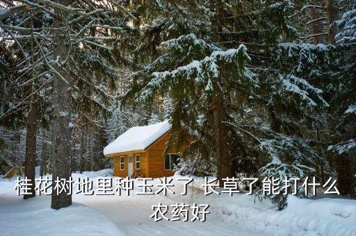什么農(nóng)藥可以長(zhǎng)草,讓地上不長(zhǎng)草用什么農(nóng)藥