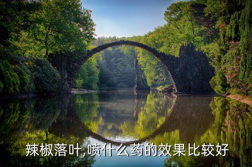  辣椒落葉,噴什么藥的效果比較好