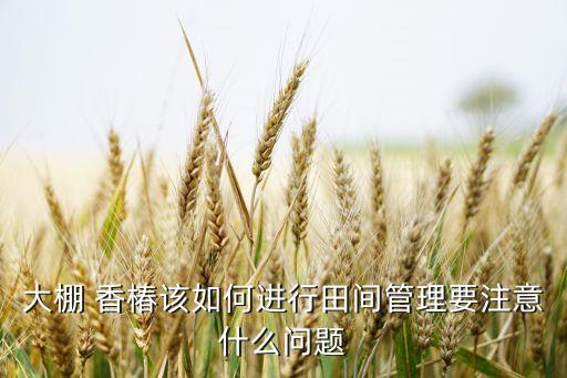 香椿苗用什么藥打農藥