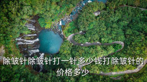 除皺針除皺針打一針多少錢打除皺針的價(jià)格多少