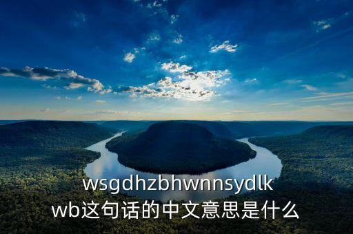  wsgdhzbhwnnsydlkwb這句話的中文意思是什么