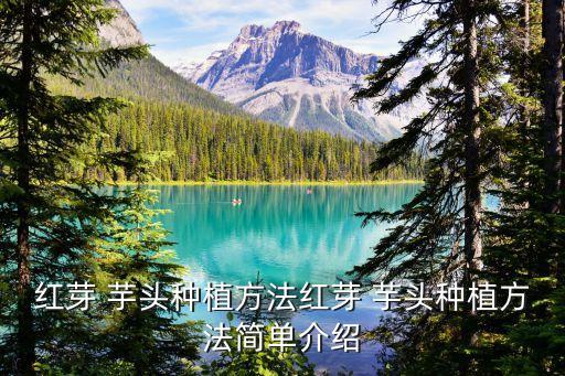 芋頭長(zhǎng)不起來(lái)打什么農(nóng)藥