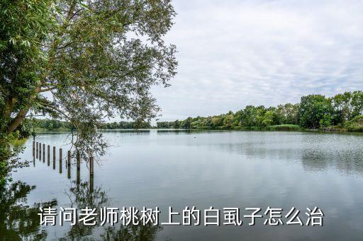 請(qǐng)問老師桃樹上的白虱子怎么治