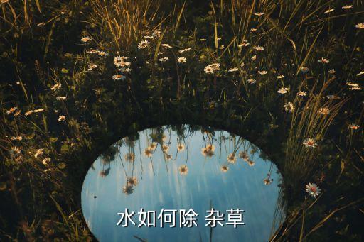 水中加什么可以洗去菜農藥,水中雜草用什么農藥