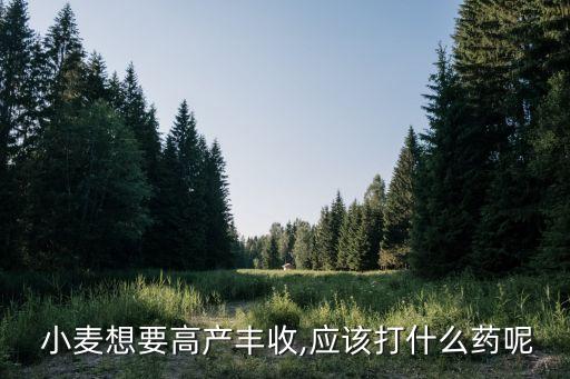 小麥施什么農藥好,爸爸要給小麥施農藥