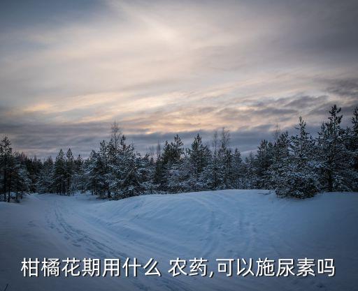 柑桔保花保果使用什么農(nóng)藥,柑橘保花保果打什么農(nóng)藥