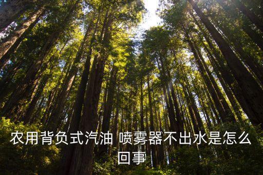 農用背負式汽油 噴霧器不出水是怎么回事
