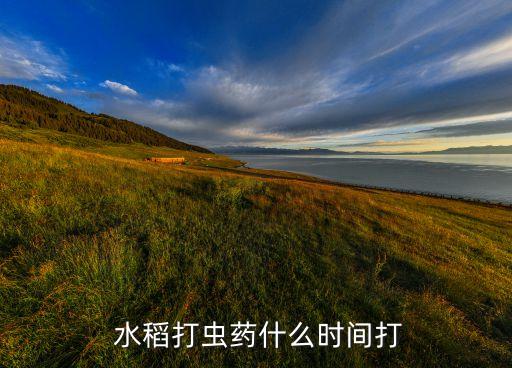 水稻破口用什么農藥好,水稻最后一次打什么農藥