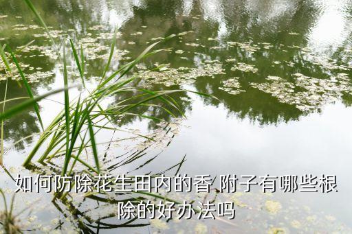 香附子打什么農(nóng)藥,什么農(nóng)藥可以殺死香附子