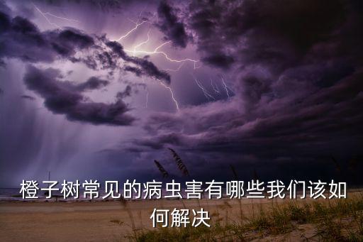  橙子樹常見的病蟲害有哪些我們該如何解決