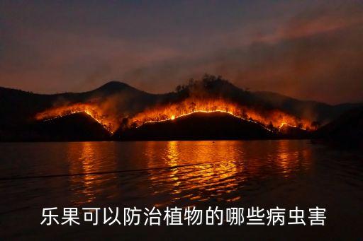 樂果可以防治植物的哪些病蟲害