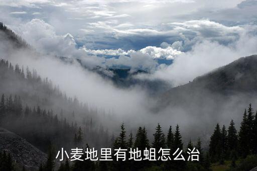 治地蛆什么農藥好,什么藥治地蛆效果好