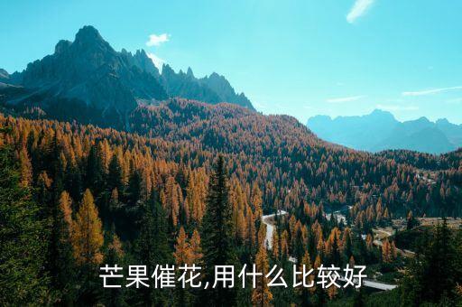  芒果催花,用什么比較好