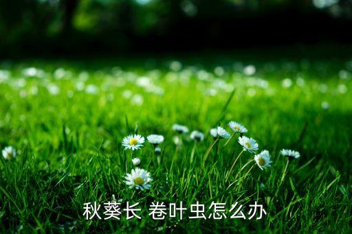 樹葉卷葉蟲用什么農藥殺