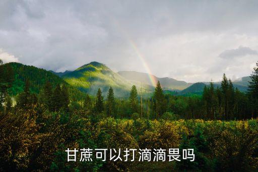  甘蔗可以打滴滴畏嗎