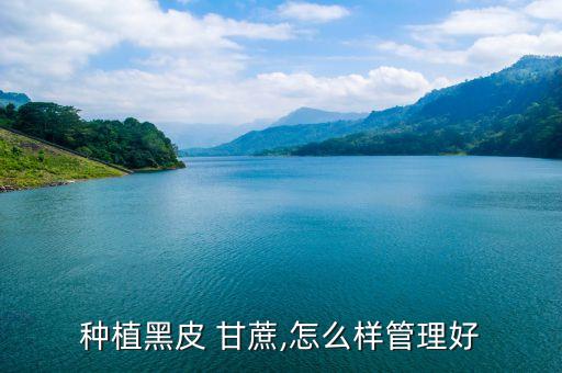 甘蔗為什么噴農(nóng)藥,甘蔗噴農(nóng)藥了要幾天才能吃