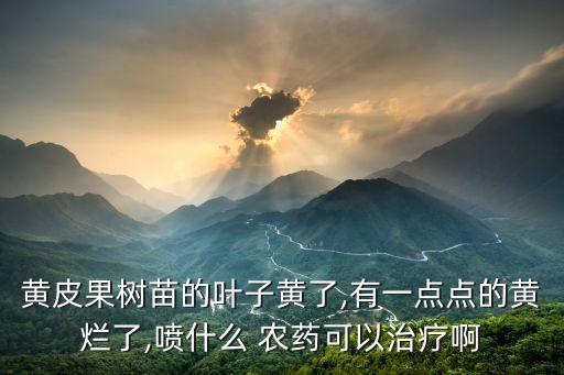 藿香黃葉病用什么農藥,黃葉打什么農藥