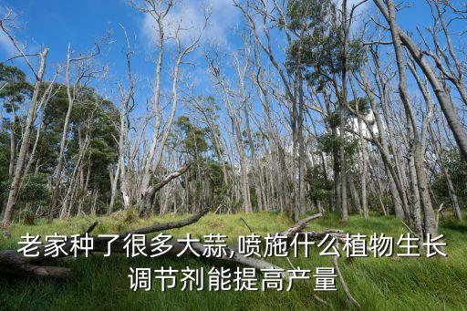 蒜苗和什么搭配最好吃,蒜苗用什么農(nóng)藥最好