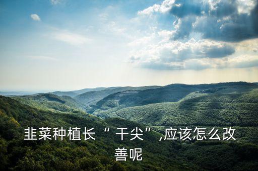  韭菜種植長“ 干尖”,應該怎么改善呢