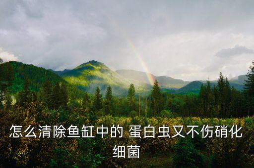 使用蛋白蟲怕什么農藥,魚缸蛋白蟲怕什么