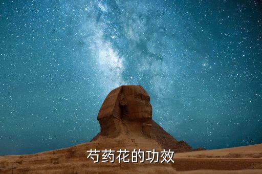 芍藥花的功效