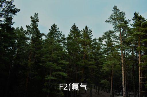F2(氟氣
