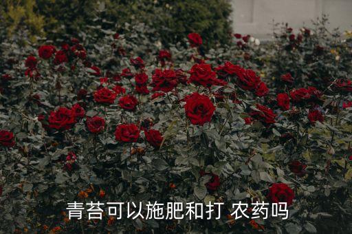 什么農(nóng)藥除青苔厲害,什么東西吃青苔最厲害