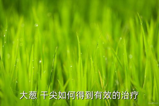 大蔥 干尖如何得到有效的治療