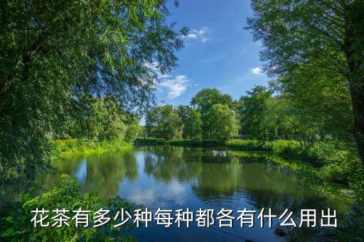  花茶有多少種每種都各有什么用出