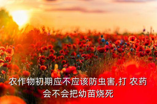 農(nóng)作物初期應(yīng)不應(yīng)該防蟲(chóng)害,打 農(nóng)藥會(huì)不會(huì)把幼苗燒死