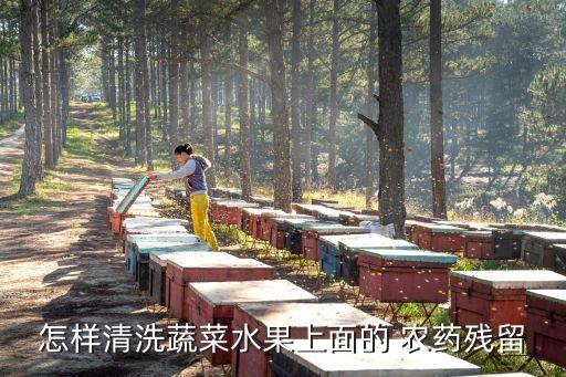 怎樣清洗蔬菜水果上面的 農藥殘留