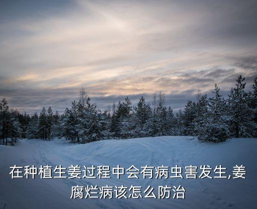 姜有蟲用什么農藥,菜蟲用什么農藥殺比較好?
